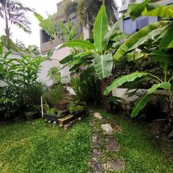 Jalan Sembilang (D20), Detached #458375181